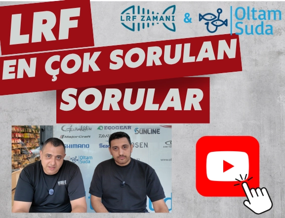 sorular