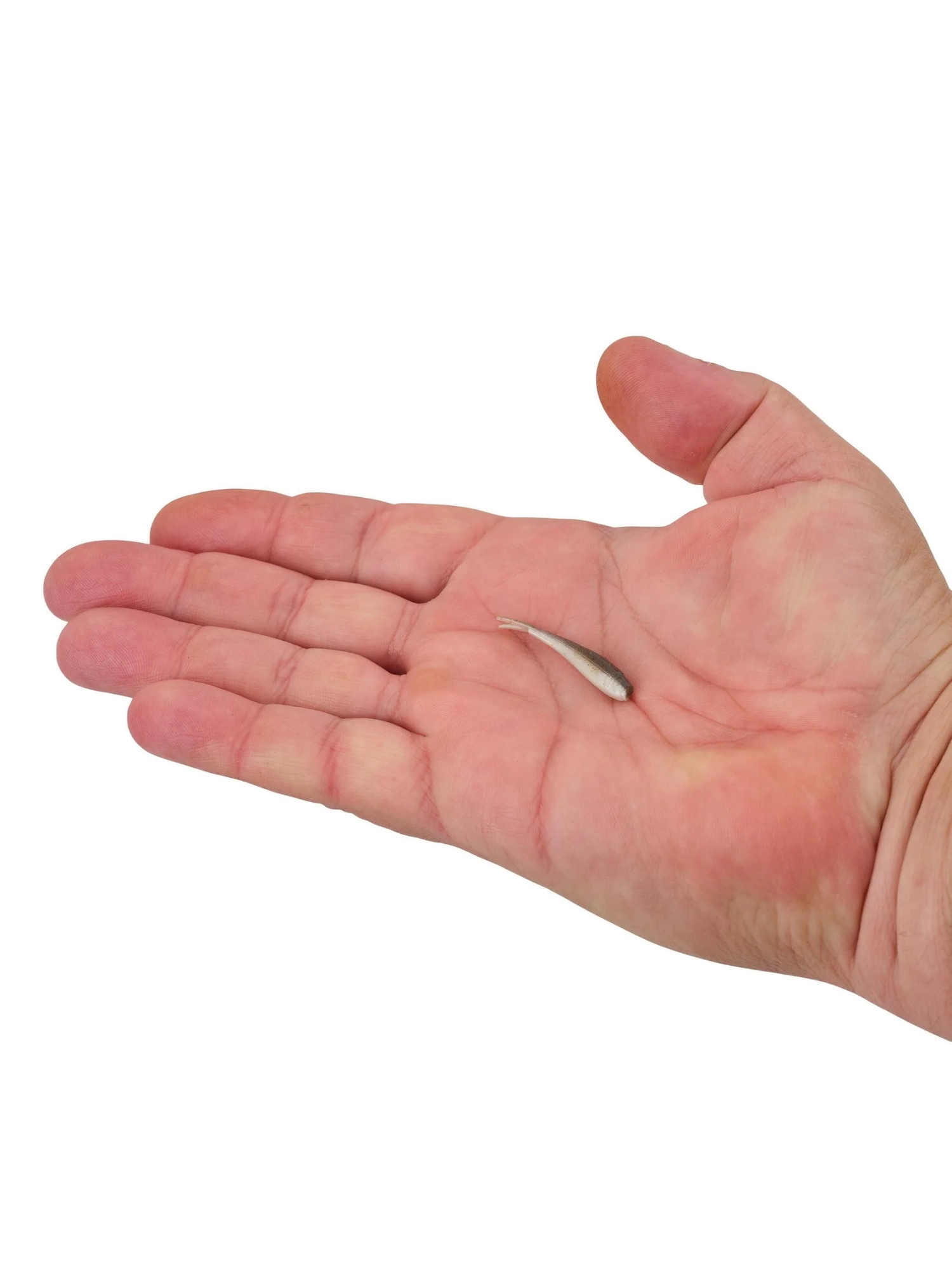 Berkley Gulp! Alive!® Minnow 1’’ - Smelt