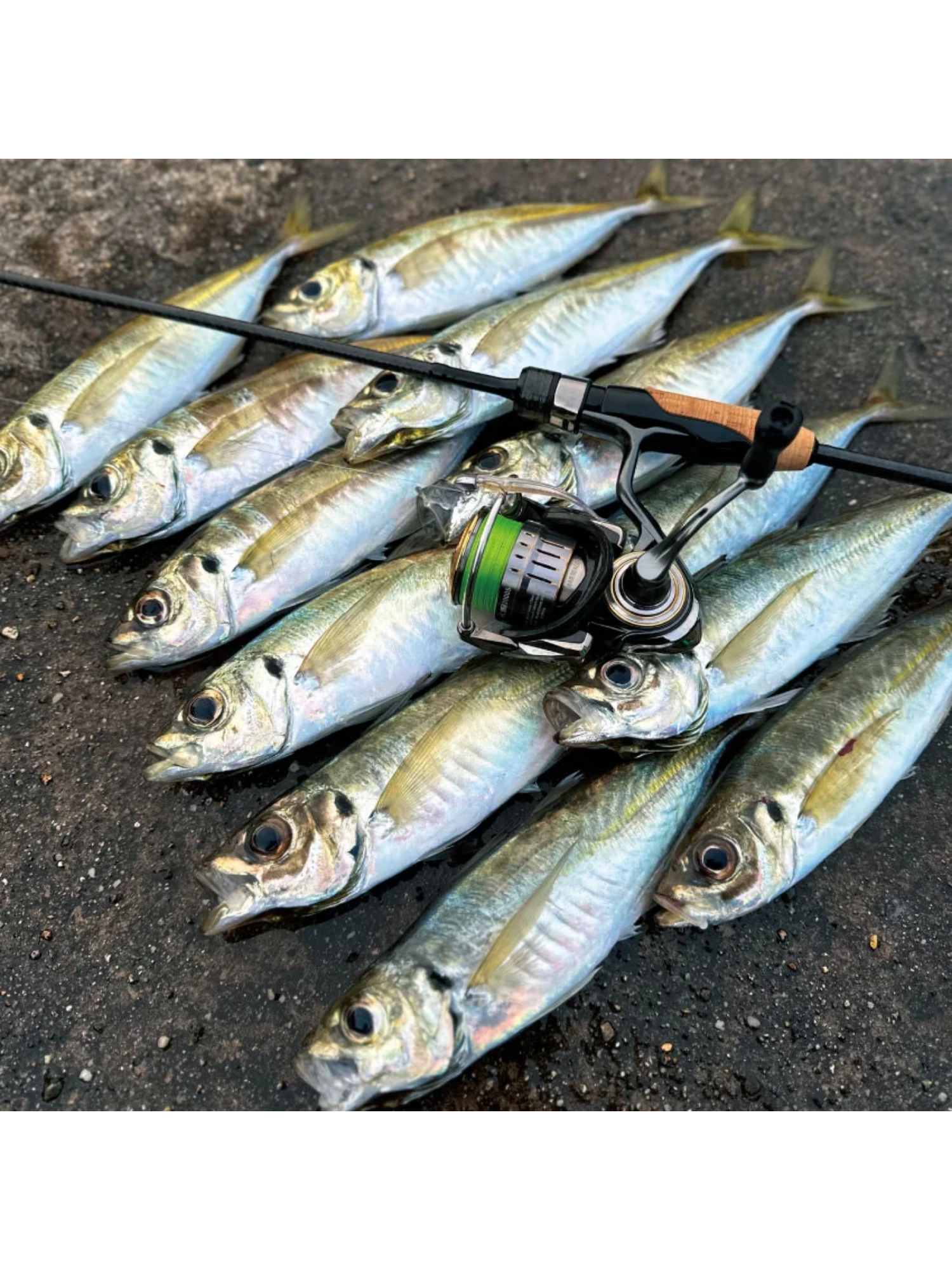 Magbite Uppercut TG Tungsten Jighead - M