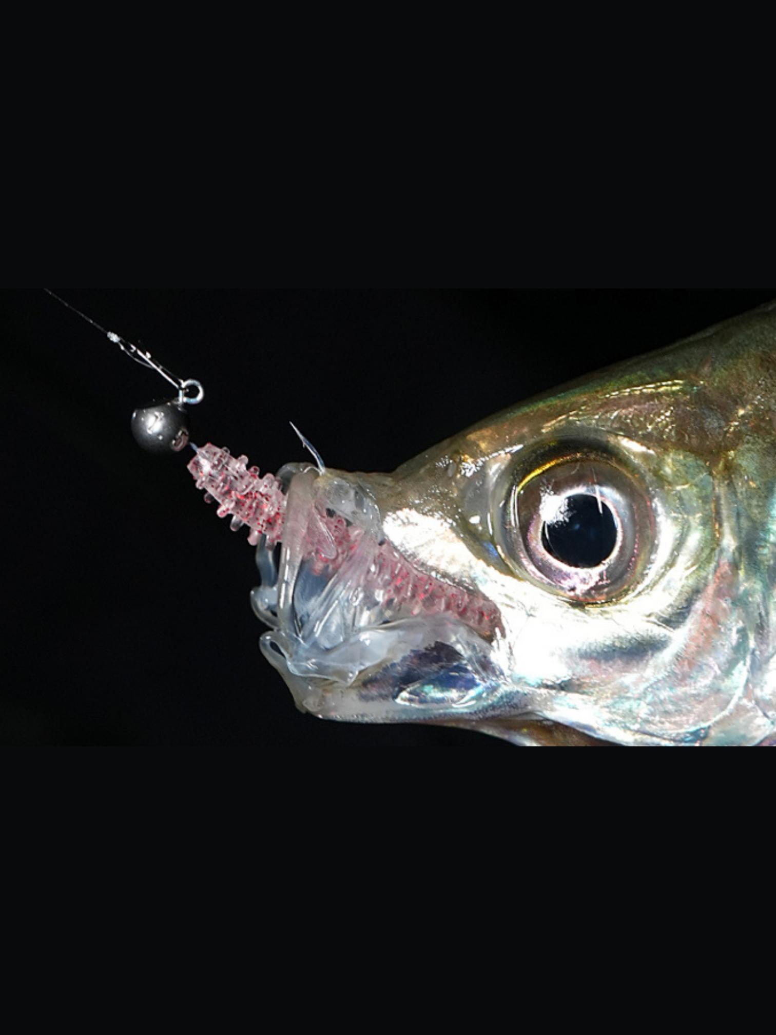 Tict Azing Standard Tungsten Jighead - oltamsuda.com