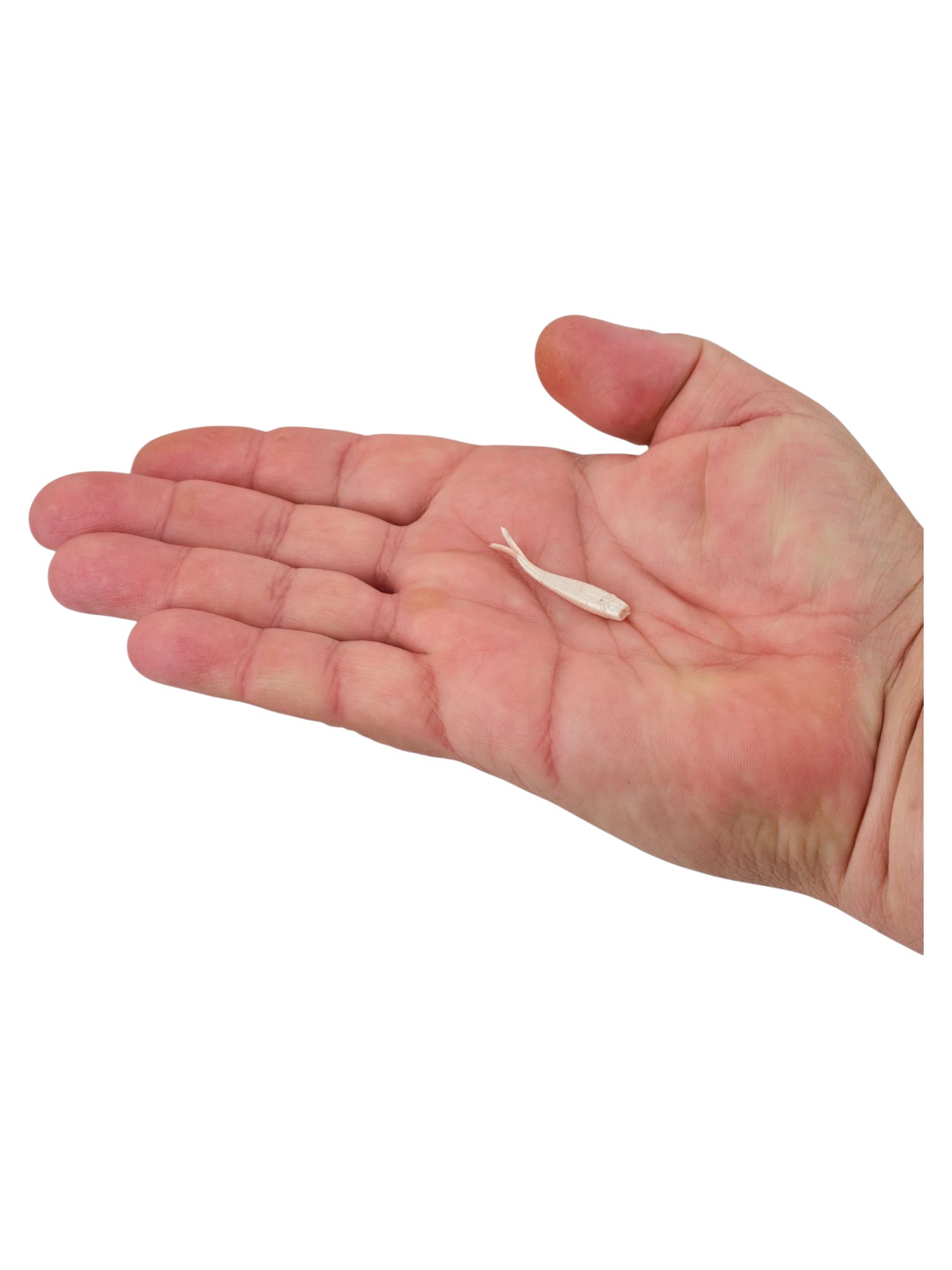 Berkley Gulp! Alive!® Minnow 1’’ - Luma Glow
