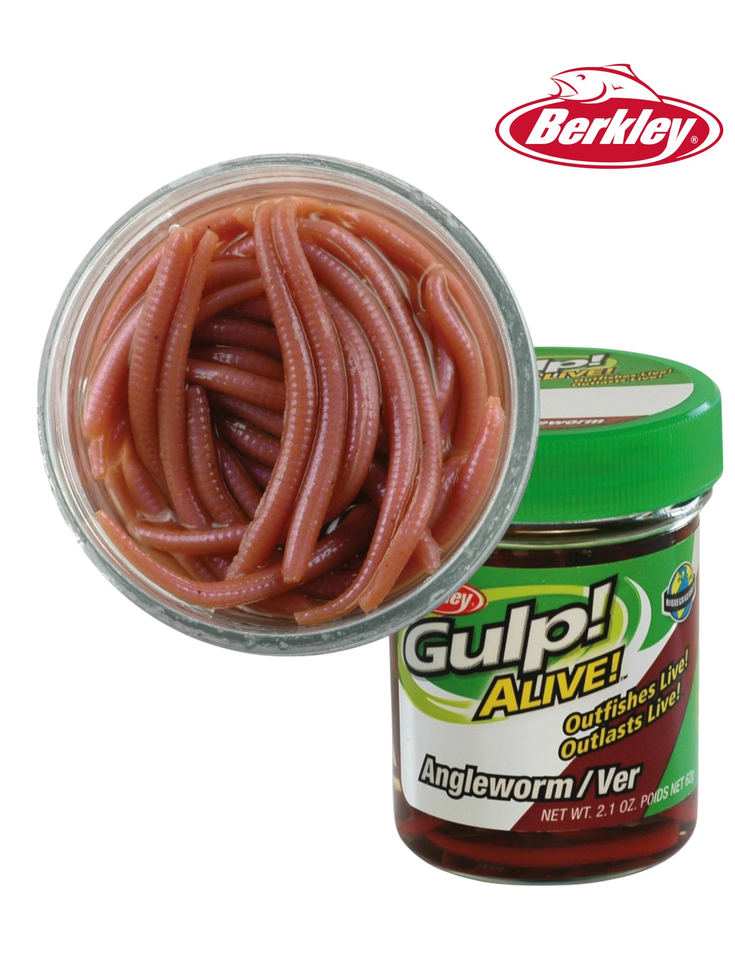 Gulp Alive Angle Worm Natural 1in 3cm Long Appat Berkley Gulp