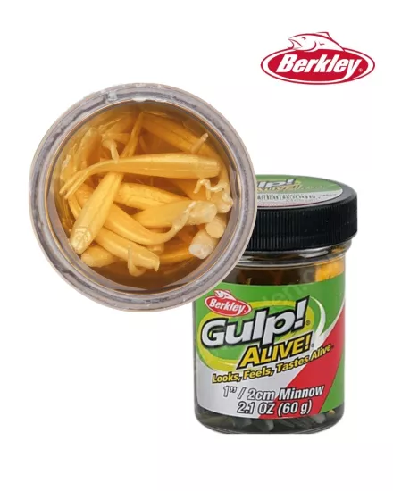 Gulp! Alive!® Minnow 1’’ - Luma Glow