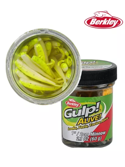 Gulp! Alive!® Minnow 1’’ - Chartreuse Shad